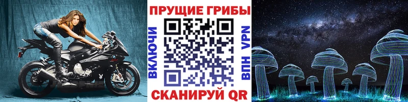Купить где  Белгород  Псилоцибиновые грибы прущие грибы 